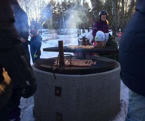 Grillning vid branddammen